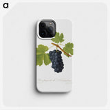 2-3_Pomona-Italiana_phone