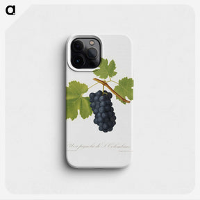 2-3_Pomona-Italiana_phone
