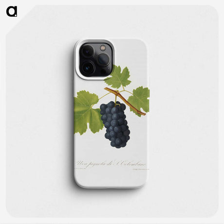 2-3_Pomona-Italiana_phone