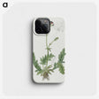 2-3_Robert-Jacob-Gordon_phone
