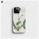 2-3_Robert-Jacob-Gordon_phone