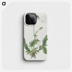 2-3_Robert-Jacob-Gordon_phone