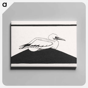 アートパネル-Northern Gannet
 - サミュエル ジェスルン Canvas.
