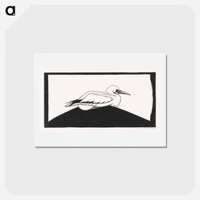 アートポストカード-Northern Gannet
 - サミュエル ジェスルン Postcard.