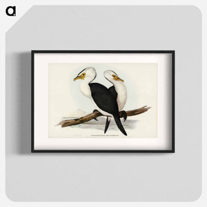 オーストラリア