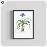 2-3_The-Lilies_blk-crop