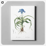 2-3_The-Lilies_canvas