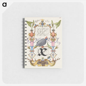 アートメモ帳-Guide for Constructing the Ligature ae from Mira Calligraphiae Monumenta
 - 書道のお手本 Memo.
