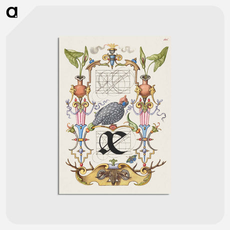 アートポストカード-Guide for Constructing the Ligature ae from Mira Calligraphiae Monumenta
 - 書道のお手本 Postcard.