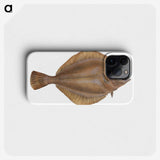 2-3_The-Natural-History-of-British-Fishes_phone