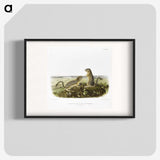 2-3_The-Viviparous-Quadrupeds_blk