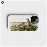2-3_The-Viviparous-Quadrupeds_phone