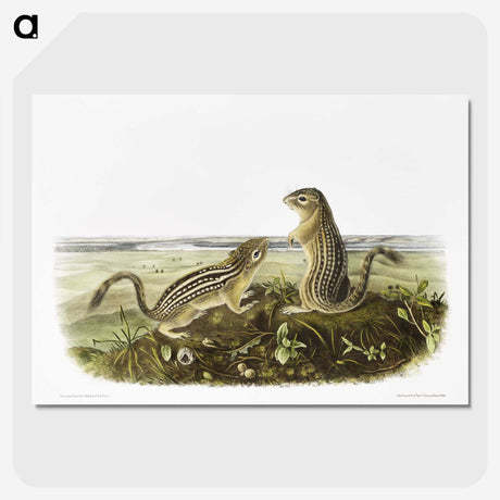 2-3_The-Viviparous-Quadrupeds_picture-crop