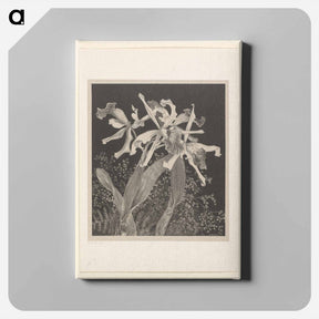 アートパネル-Orchids - テオ ヴァン ホイテマ Canvas.
