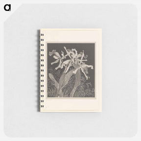 アートメモ帳-Orchids - テオ ヴァン ホイテマ Memo.