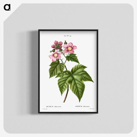 2-3_Treatise-on-Trees-and-Shrubs_blk-crop