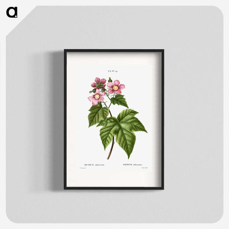 2-3_Treatise-on-Trees-and-Shrubs_blk