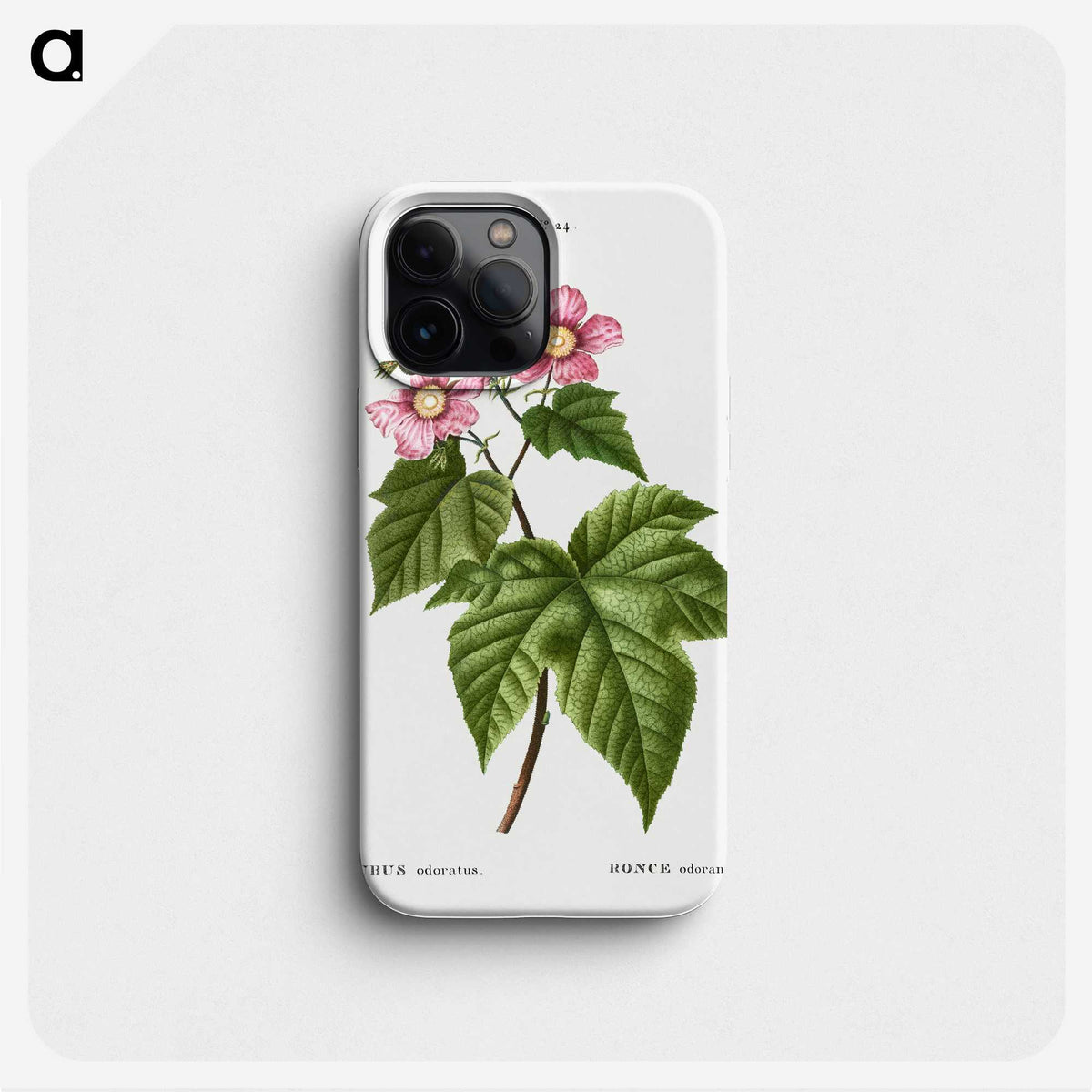 2-3_Treatise-on-Trees-and-Shrubs_phone