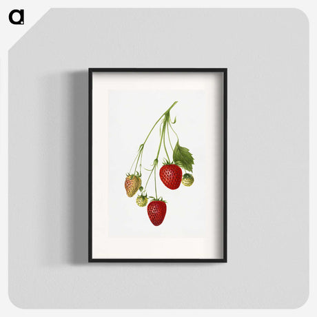 2-3_USDA-Watercolor-Fruit-Painting-Collection_blk