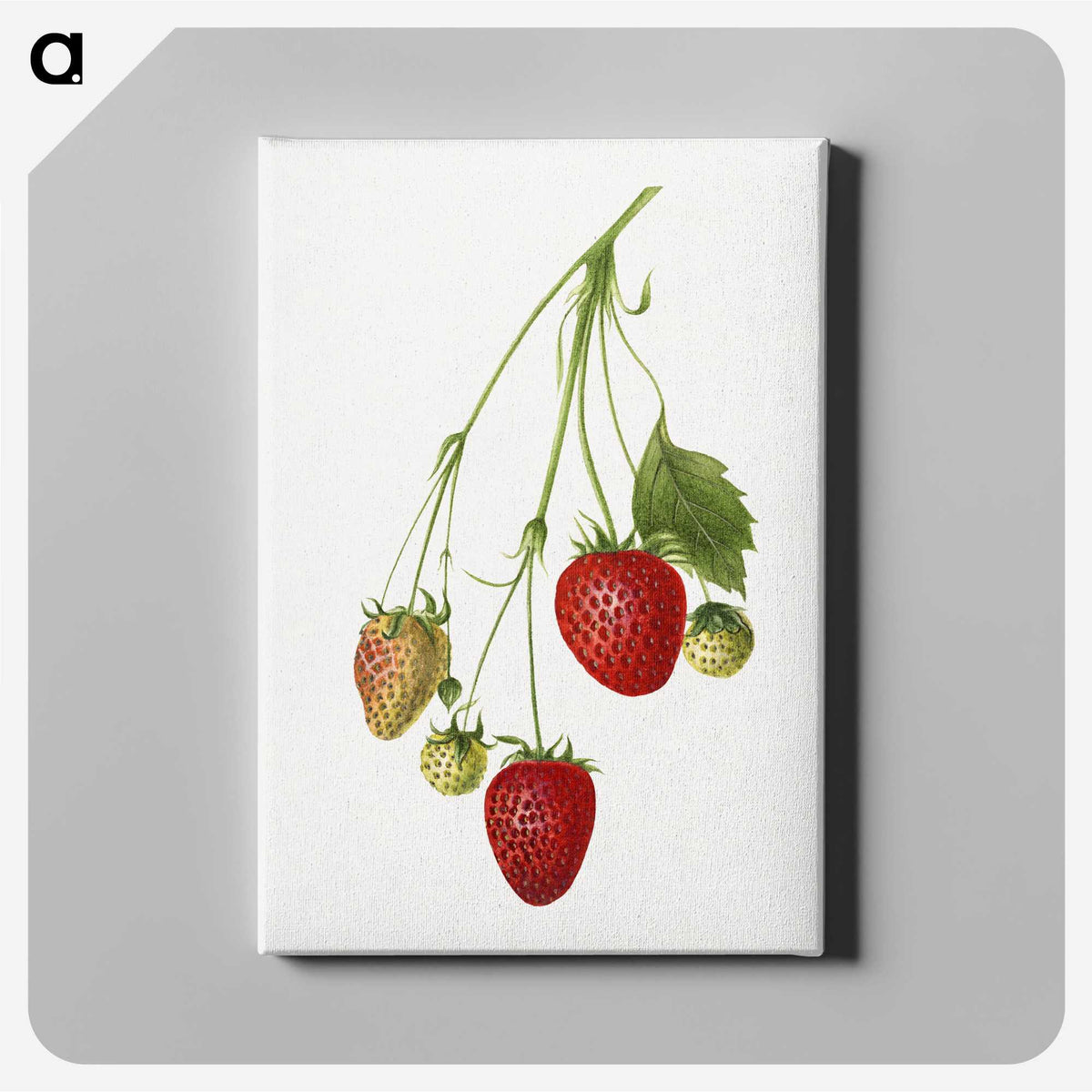 2-3_USDA-Watercolor-Fruit-Painting-Collection_canvas