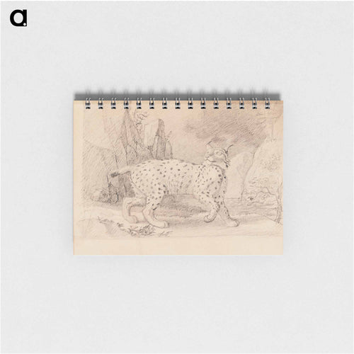 Lynx - ヴィルヘルム フォン ライト Memo.