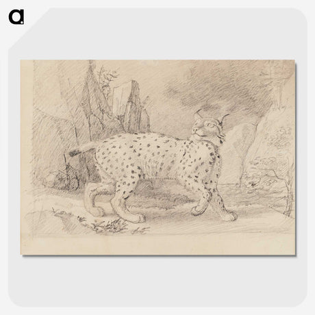 2-3_Wilhelm-von-Wright_picture-crop