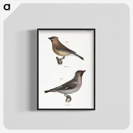 2-3_Zoology-of-New-York_blk-crop