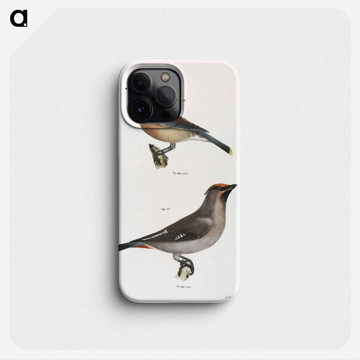 The Cedar Bird - ニューヨークの動物学 Phone Case.