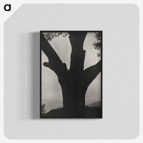 2-40_Alfred-Stieglitz_blk-crop