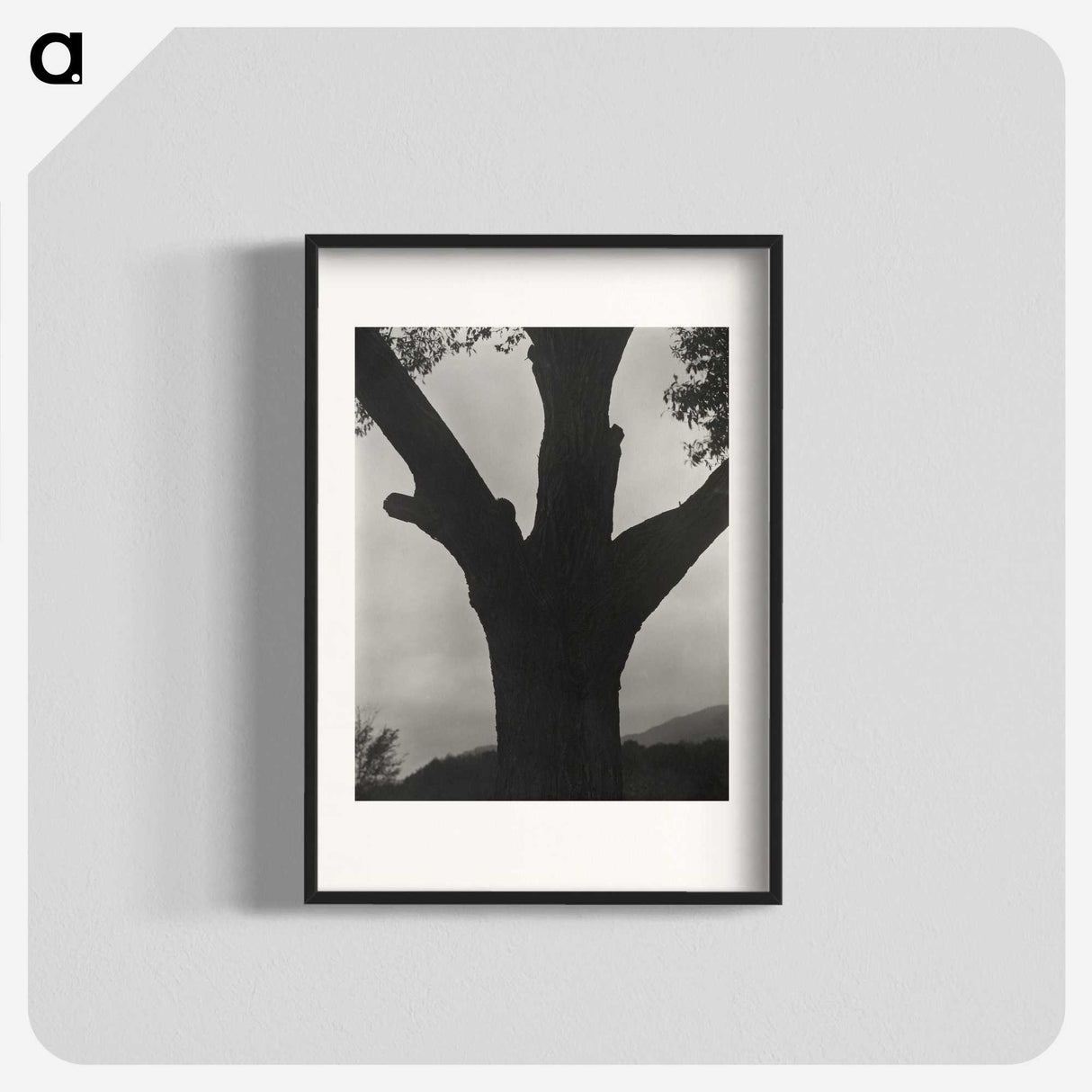 2-40_Alfred-Stieglitz_blk