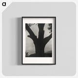 2-40_Alfred-Stieglitz_blk