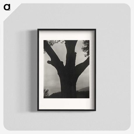 2-40_Alfred-Stieglitz_blk