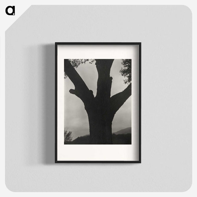 2-40_Alfred-Stieglitz_blk