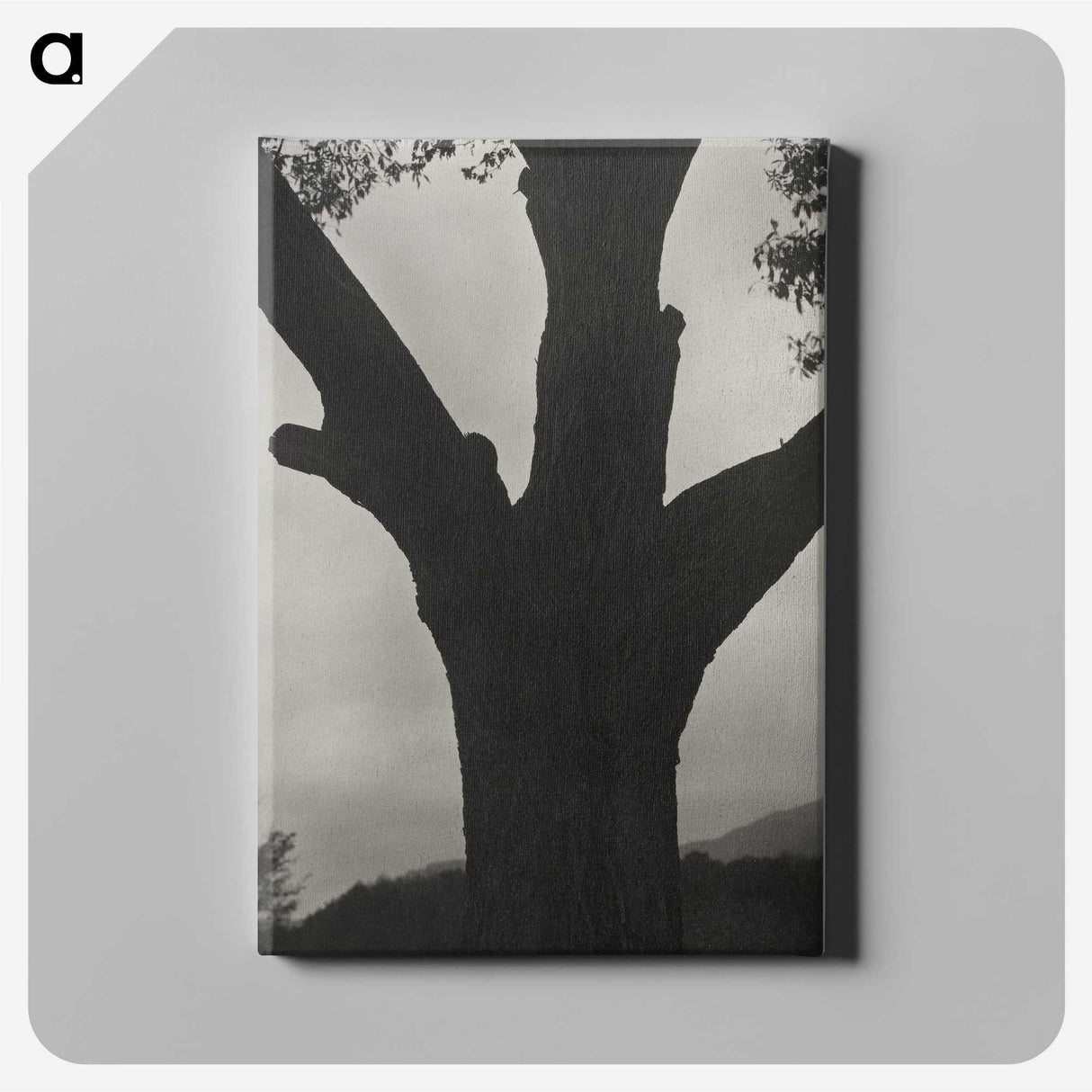 2-40_Alfred-Stieglitz_canvas