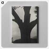 2-40_Alfred-Stieglitz_canvas