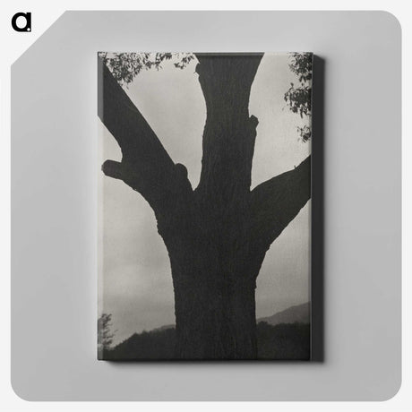 2-40_Alfred-Stieglitz_canvas