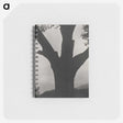 2-40_Alfred-Stieglitz_memo