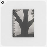 2-40_Alfred-Stieglitz_memo