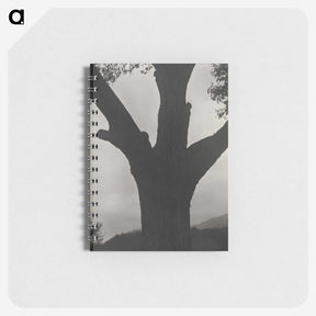 2-40_Alfred-Stieglitz_memo