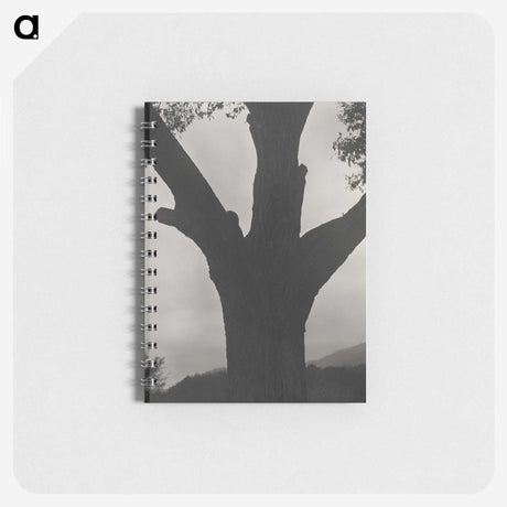2-40_Alfred-Stieglitz_memo