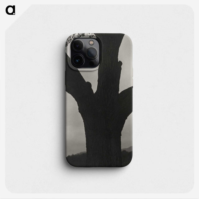 2-40_Alfred-Stieglitz_phone