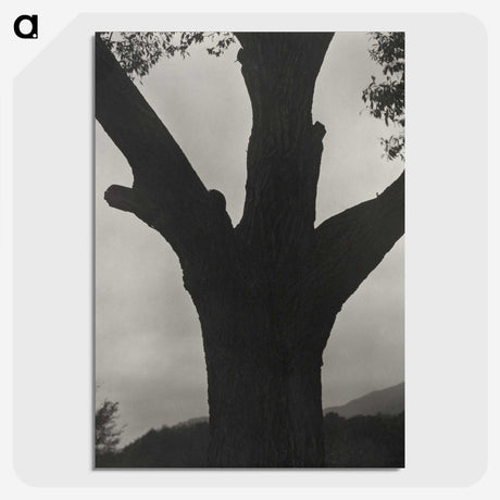 2-40_Alfred-Stieglitz_picture-crop