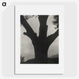 2-40_Alfred-Stieglitz_picture