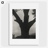 2-40_Alfred-Stieglitz_picture