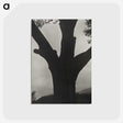 2-40_Alfred-Stieglitz_postcard