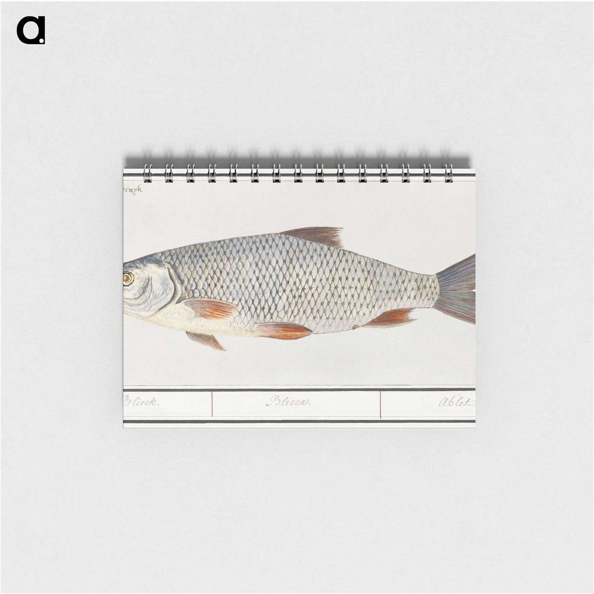 2-40_Anselmus-Boetius-de-Boodt_memo