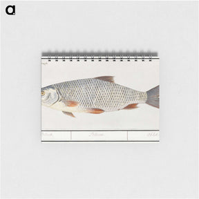 2-40_Anselmus-Boetius-de-Boodt_memo
