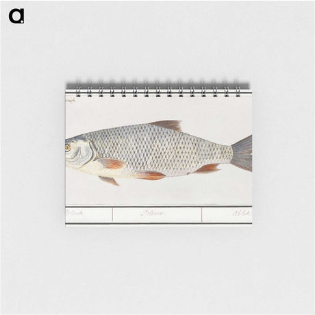 2-40_Anselmus-Boetius-de-Boodt_memo