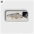 2-40_Anselmus-Boetius-de-Boodt_phone