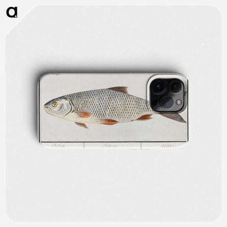 2-40_Anselmus-Boetius-de-Boodt_phone